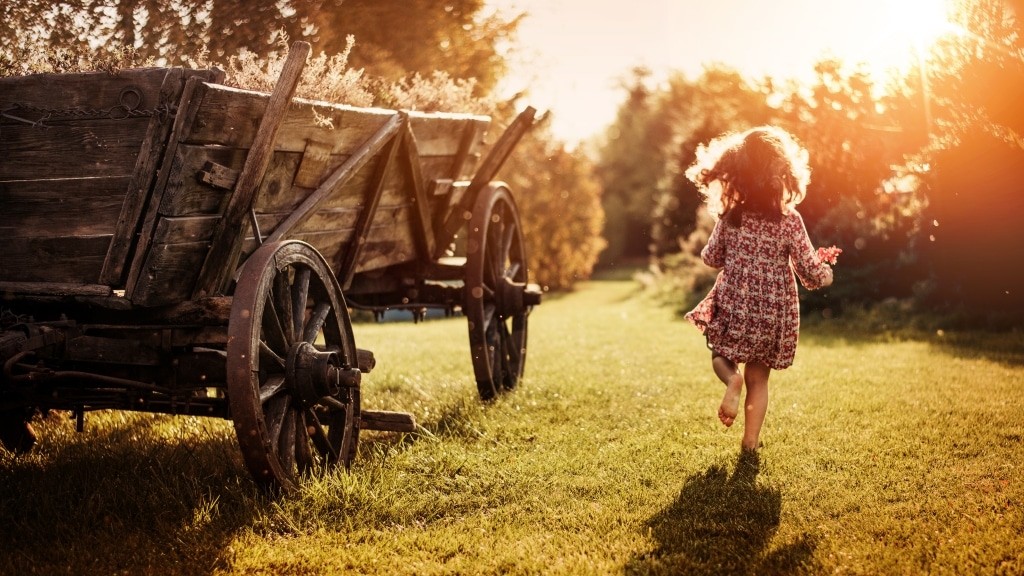 Portrait of a little girl on a farm