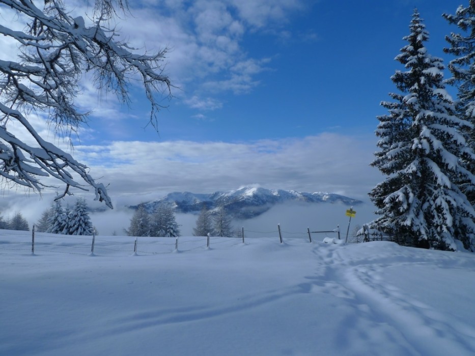 winter-nockberge-abseits-piste-kaernten